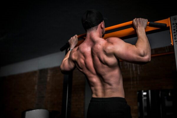 Optimiere dein Heimtraining: Die besten Trainingsbänke für effektives Krafttraining zu Hause